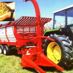 KE 500 MISIR TABLASI KE 500 MISIR TABLASI