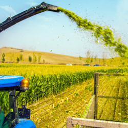 SIRA BAĞIMSIZ SİLAJ MAKİNASI SIRA BAĞIMSIZ SİLAJ MAKİNASI